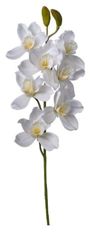 Art. Ramo Cymbidium Cm74 Cream