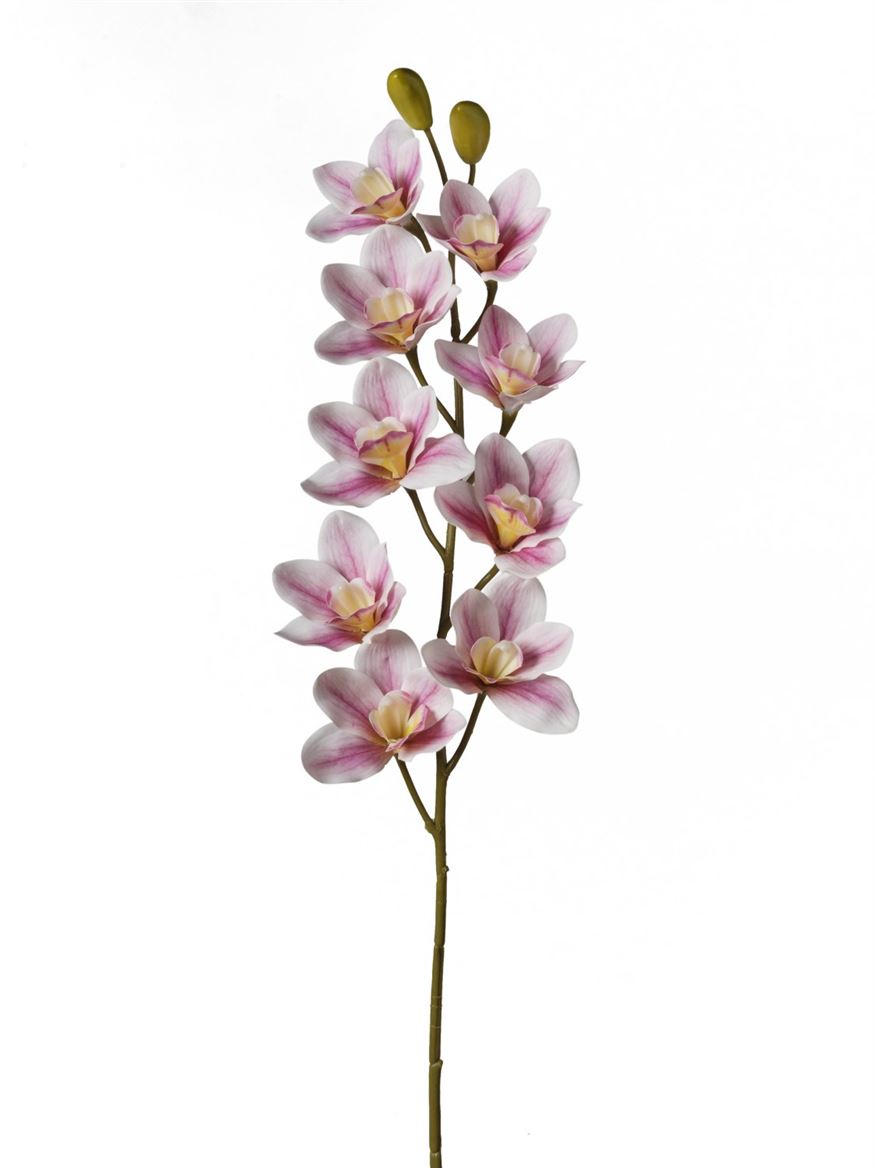 Art. Ramo Cymbidium X9 15x15x90cm - Pink White