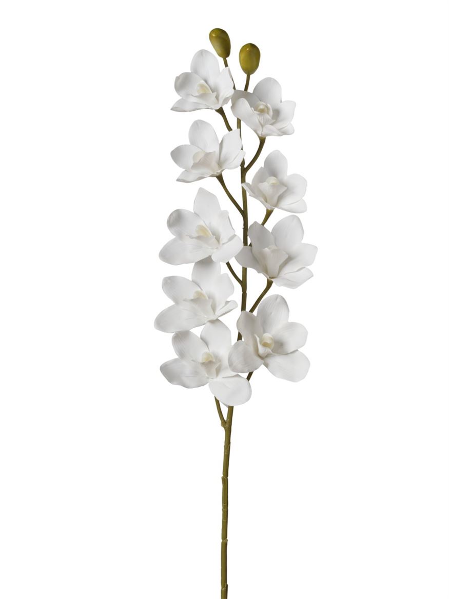 Art. Ramo Cymbidium X9 15x15x90cm - White