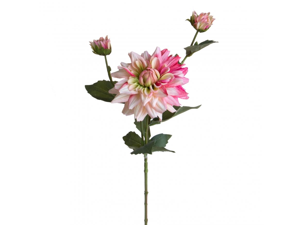 Art. Ramo Dalia X3 65cm - Pink Cream
