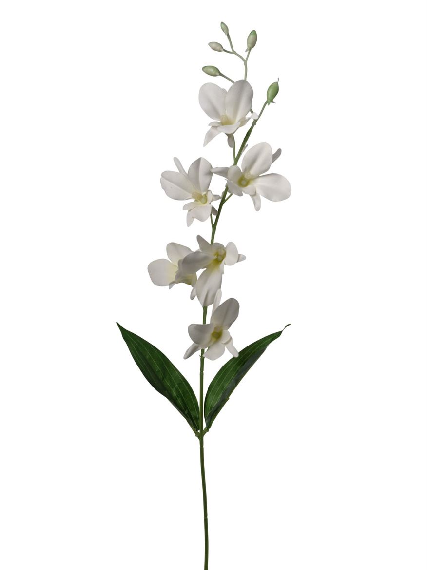 Art. Ramo Dendrobium Cm67 White