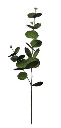 Art. Ramo Eucalipto X2 Cm13x13x75 Lt.green