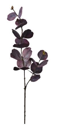 Art. Ramo Eucalipto X2 Cm13x13x75 Purple
