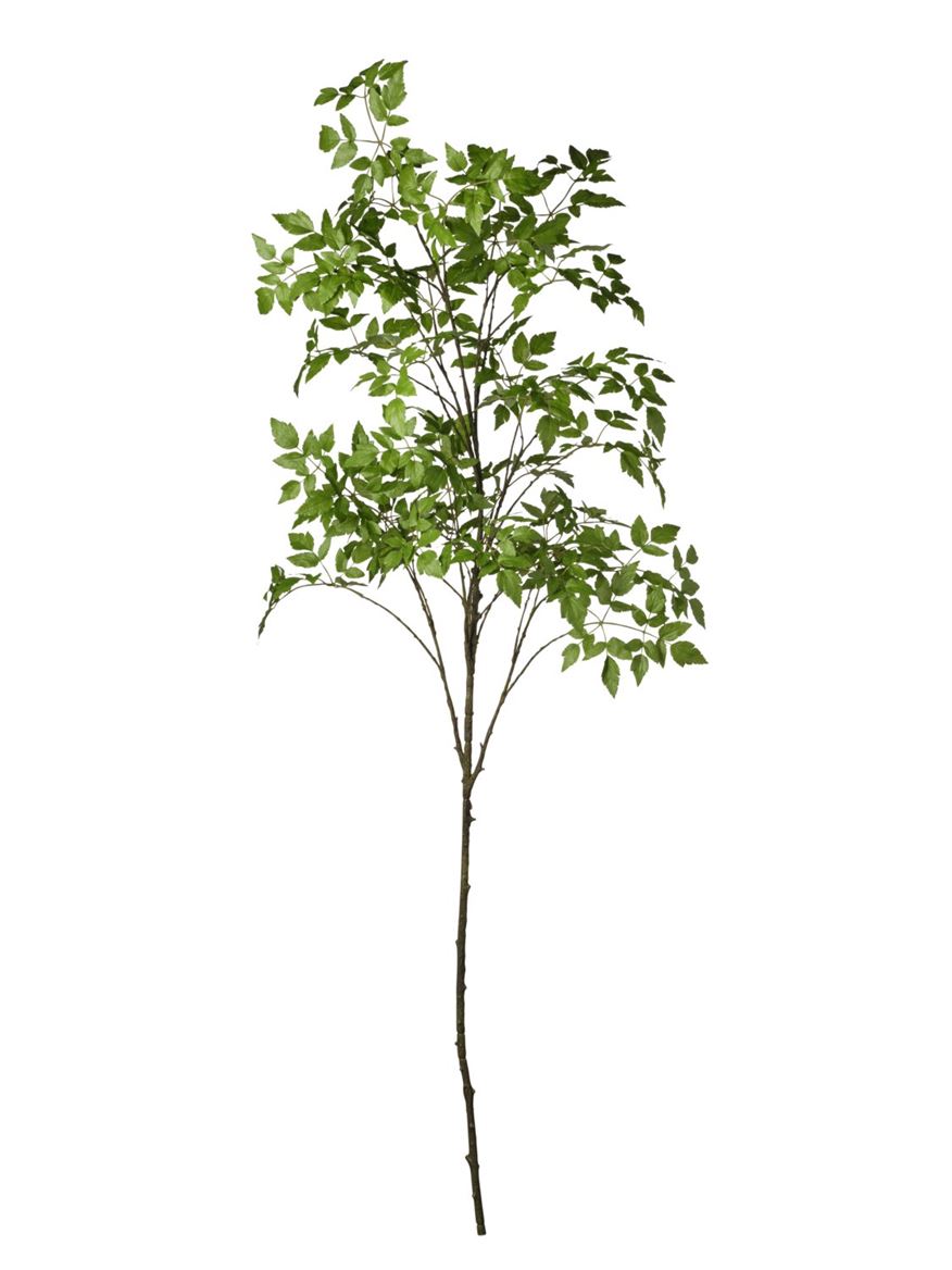 Art. Ramo Foglie Cm190 - Green