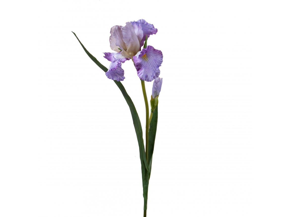 Art. Ramo Giaggiolo X2 H.95cm Lt. Purple
