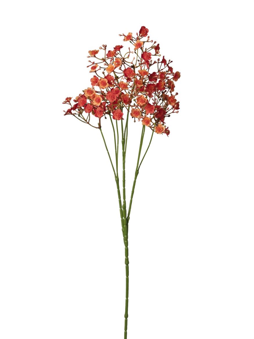 Art. Ramo Gypsophila Cm70 - Orange