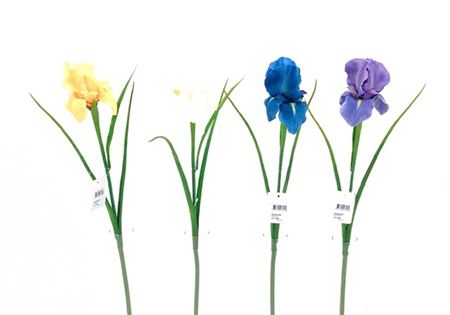 Art. Ramo Iris Spray 60cm - Blue