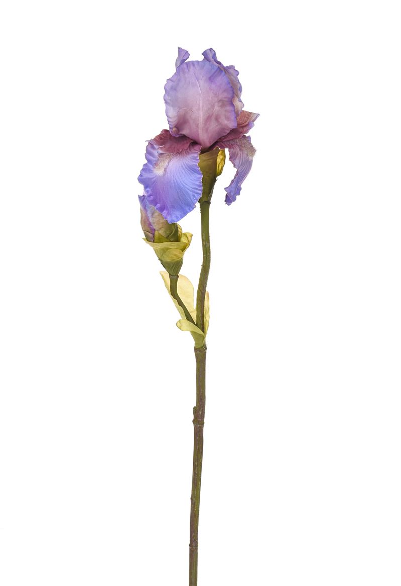 Art. Ramo Iris X2 H.85cm Lavander