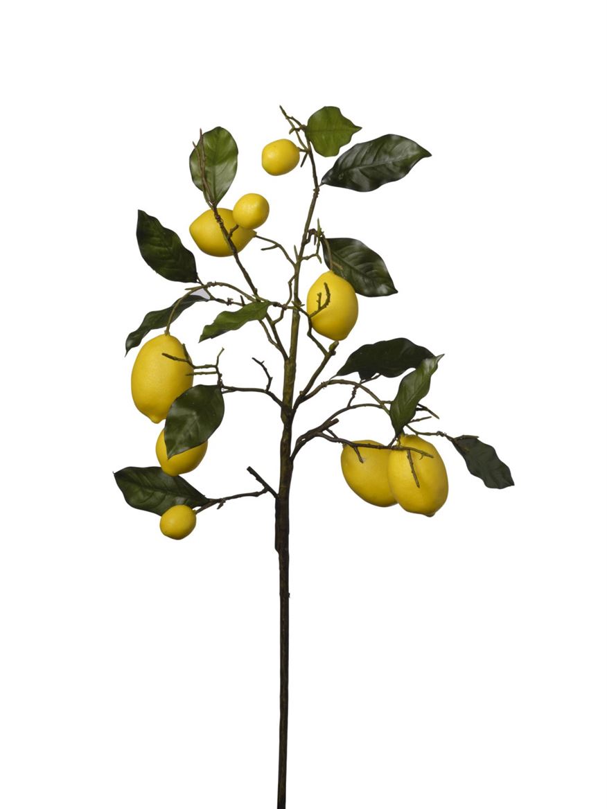 Art. Ramo Limoni Cm70