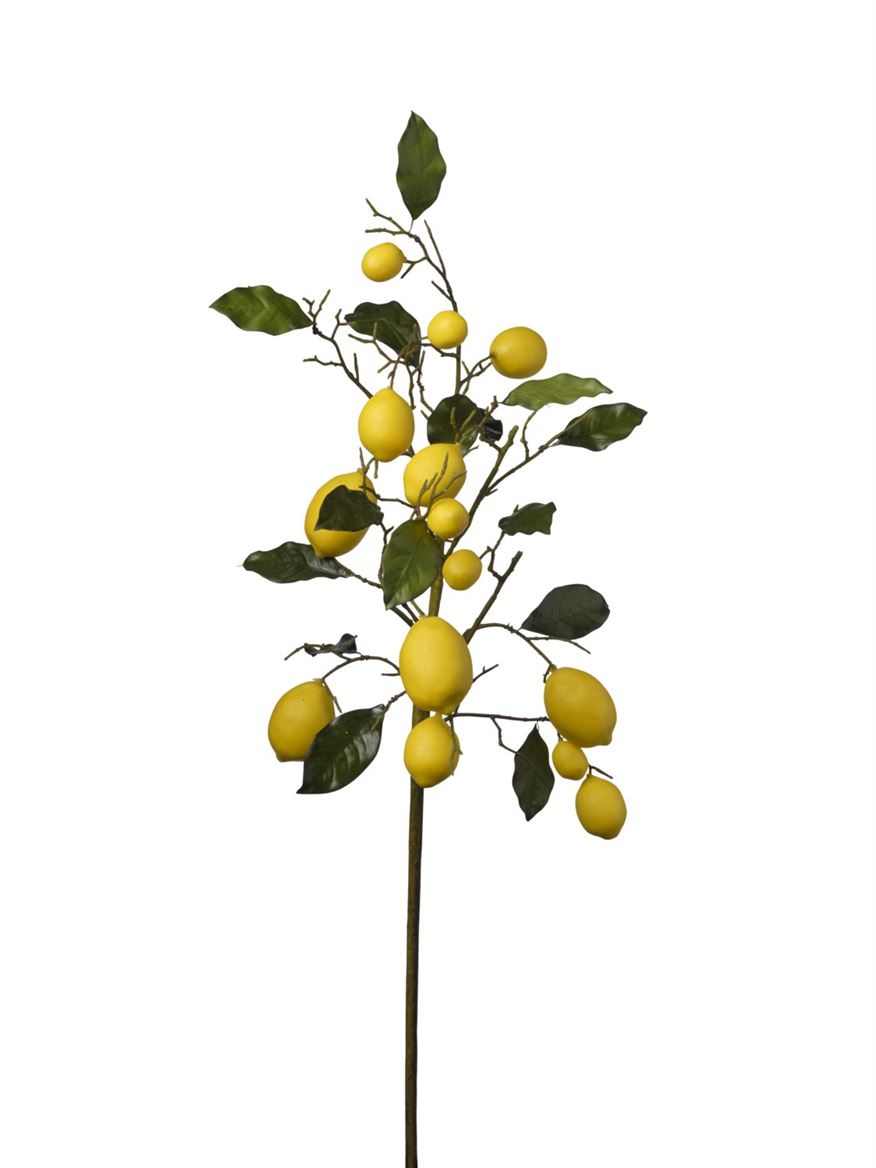 Art. Ramo Limoni Cm90