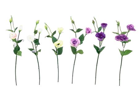 Art. Ramo Lisianthus 67cm - White Green
