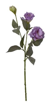 Art. Ramo Lisianthus X2 Cm70 Cream-la