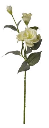 Art. Ramo Lisianthus X2 Cm70 Green