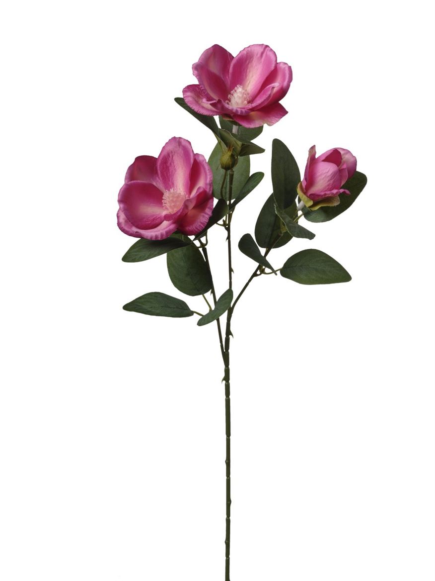 Art. Ramo Magnolia X3 Cm65 Beauty