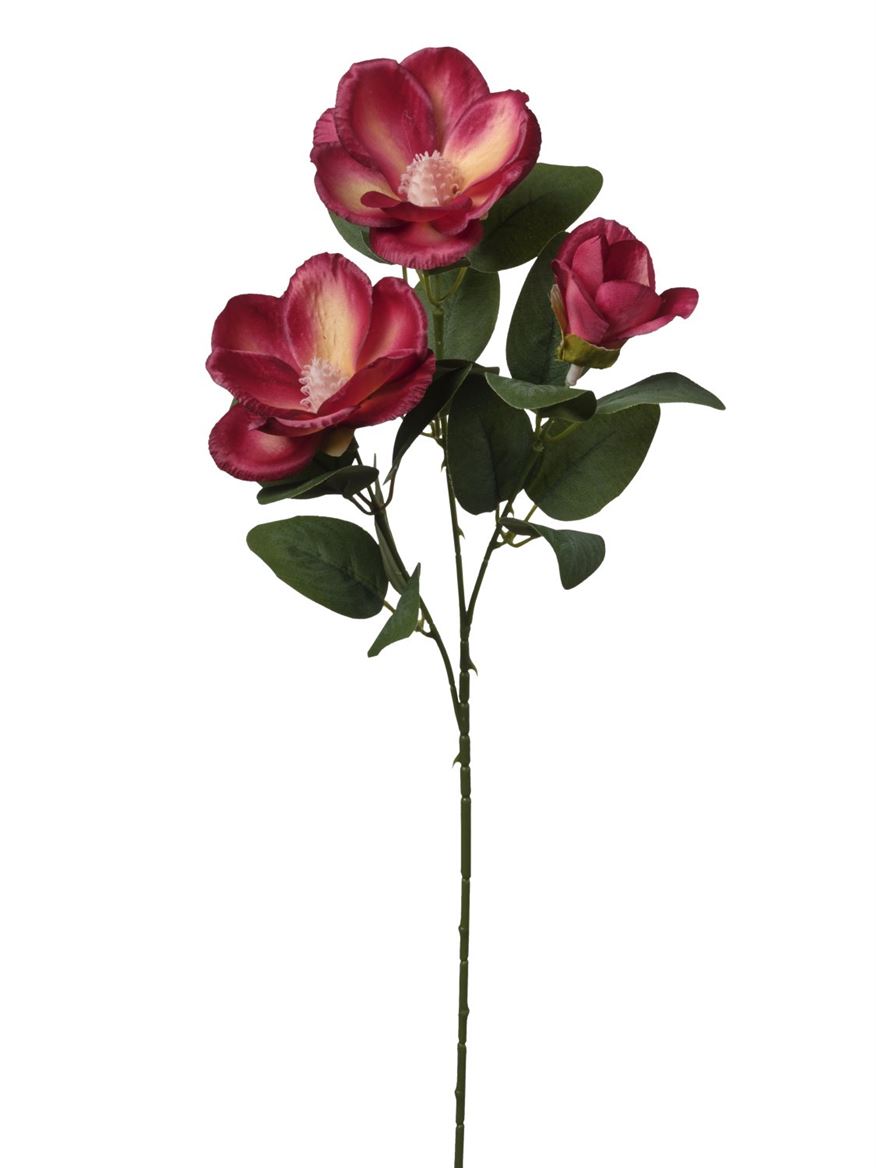 Art. Ramo Magnolia X3 Cm65 Red