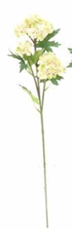 Art. Ramo Mini Allium Spray X3 70cm - Wh. Green