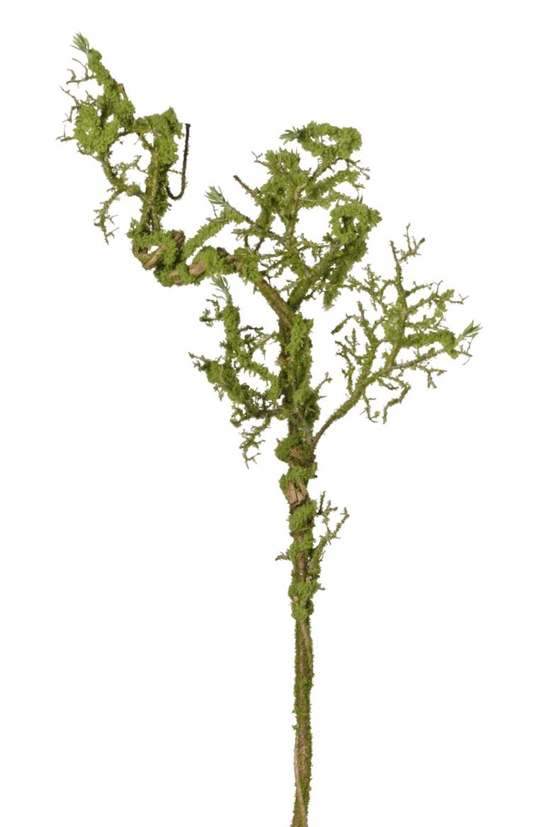 Art. Ramo Muschio Cm90 - Green