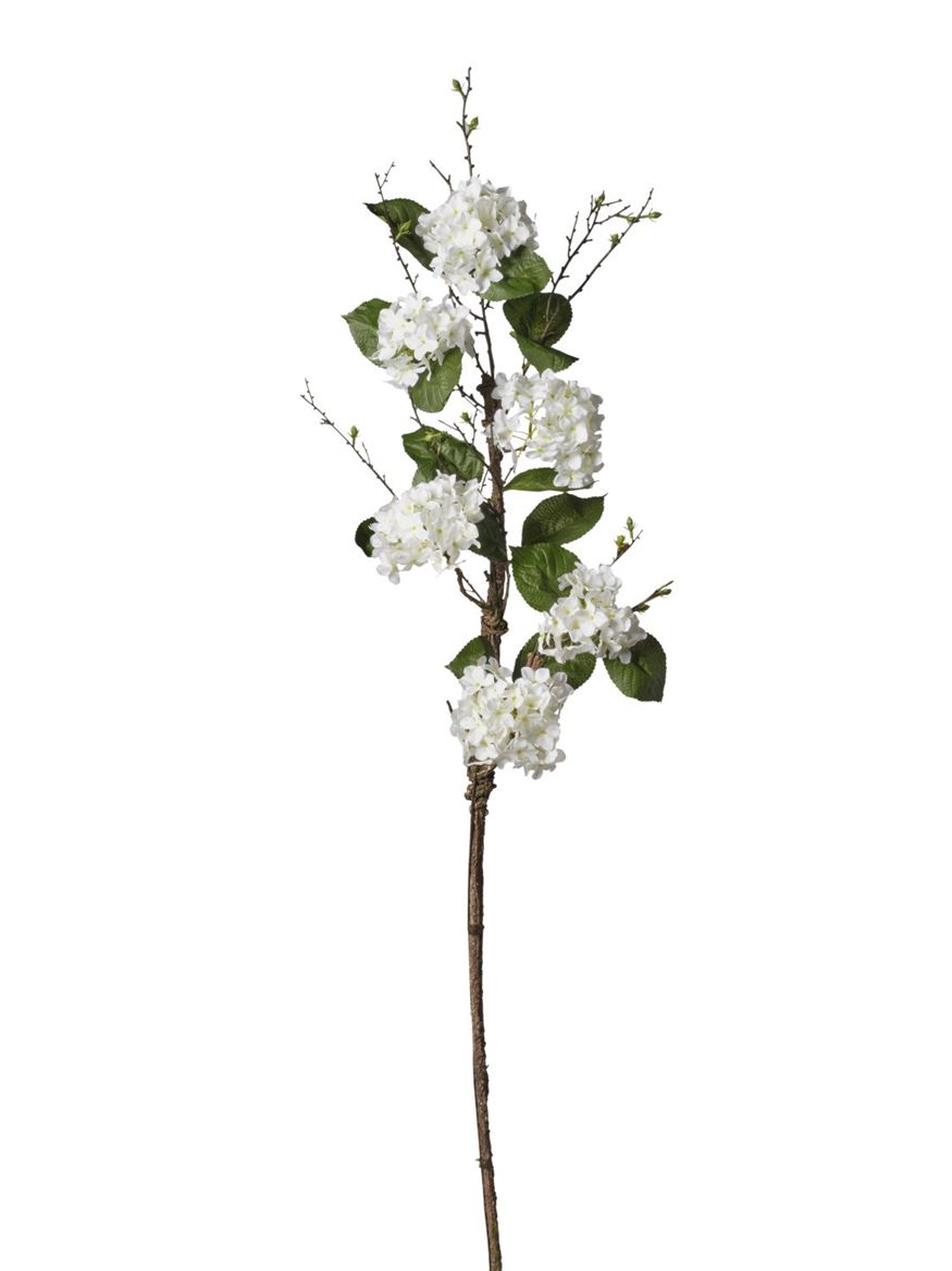 Art. Ramo Ortensia Cm165 - Cream