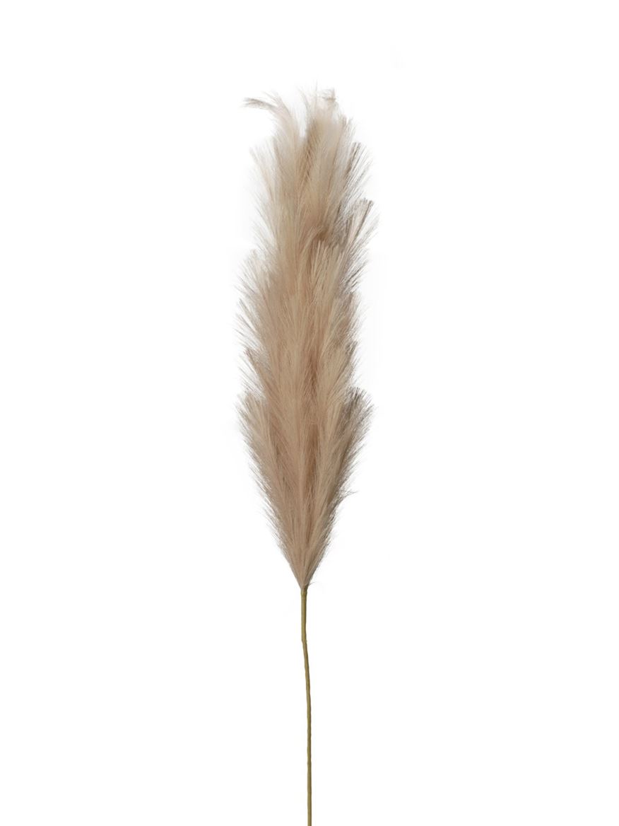 Art. Ramo Pampas Cm160 - Beige