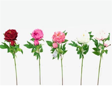 Art. Ramo Peonia 61cm - White