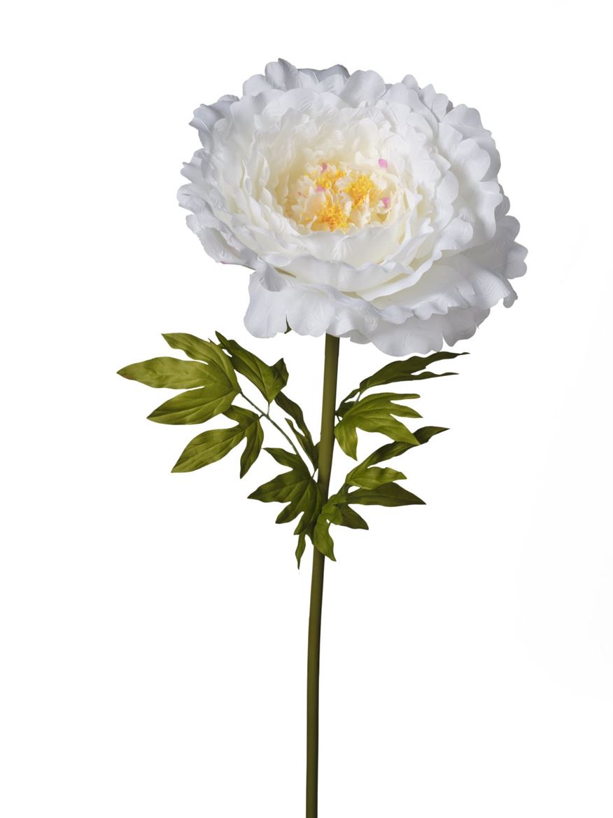 Art. Ramo Peonia Gigante Cm130 Cream