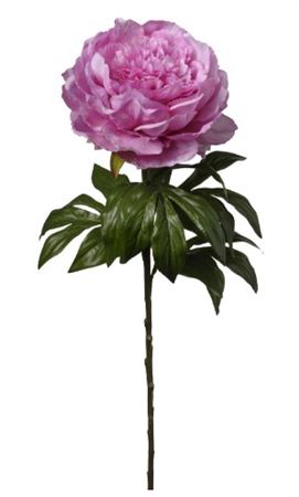 Art. Ramo Peonia Singola Cm60 Beauty