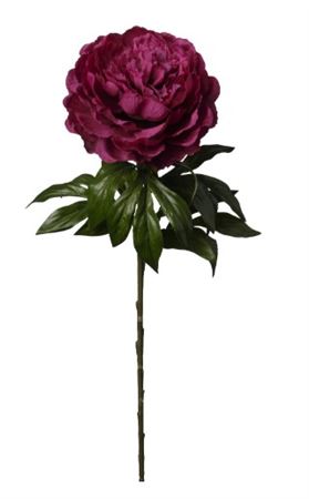 Art. Ramo Peonia Singola Cm60 Burgundy