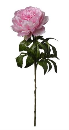 Art. Ramo Peonia Singola Cm60 Pink