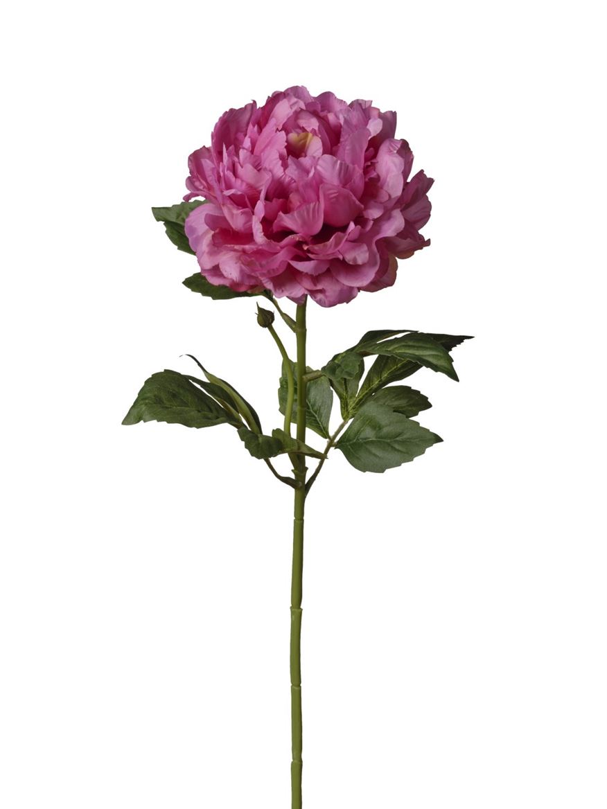 Art. Ramo Peonia Singola Cm74 Beauty