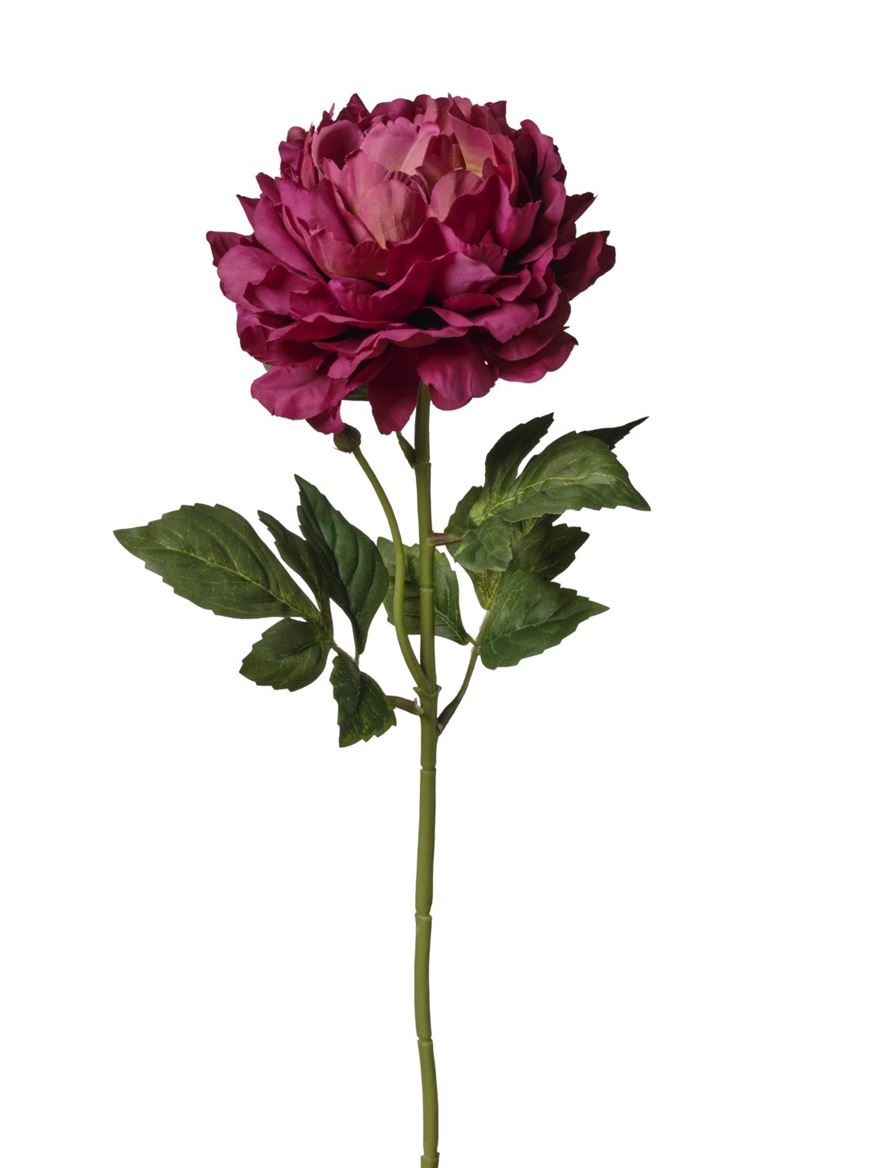 Art. Ramo Peonia Singola Cm74 Burgundy