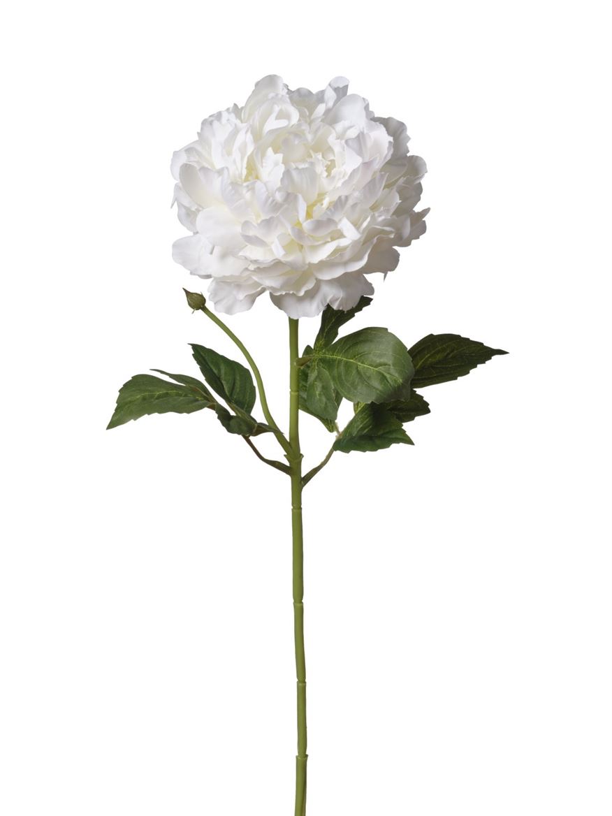 Art. Ramo Peonia Singola Cm74 Cream