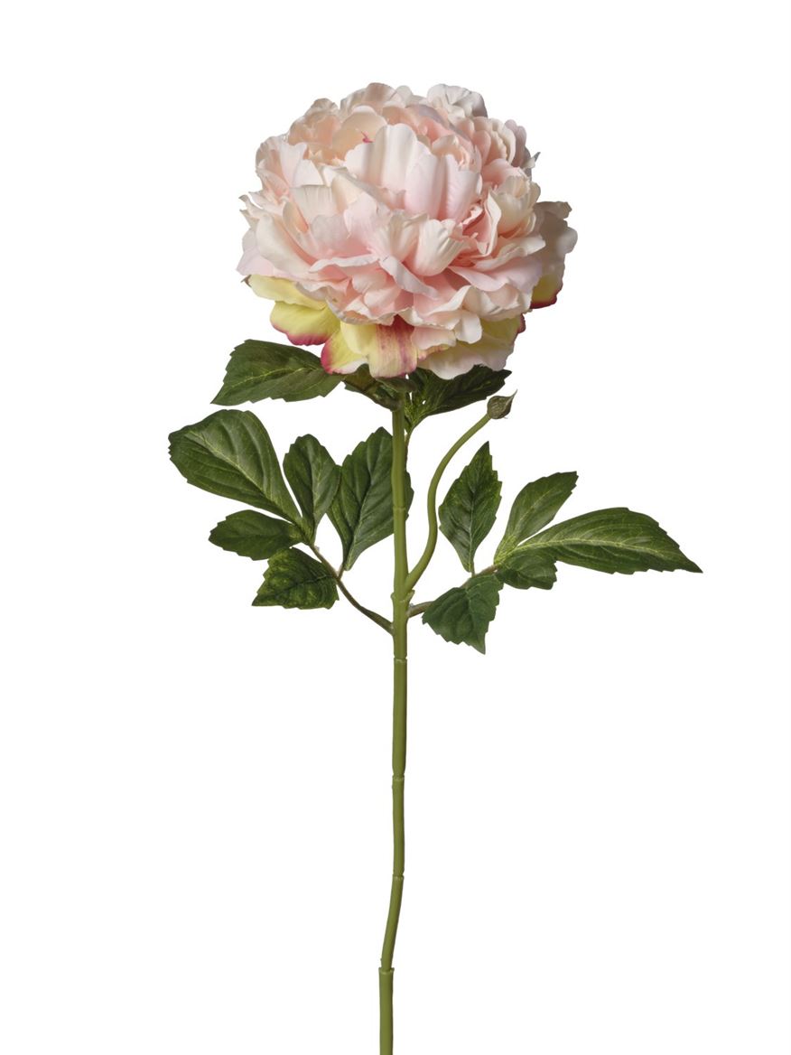 Art. Ramo Peonia Singola Cm74 Peach