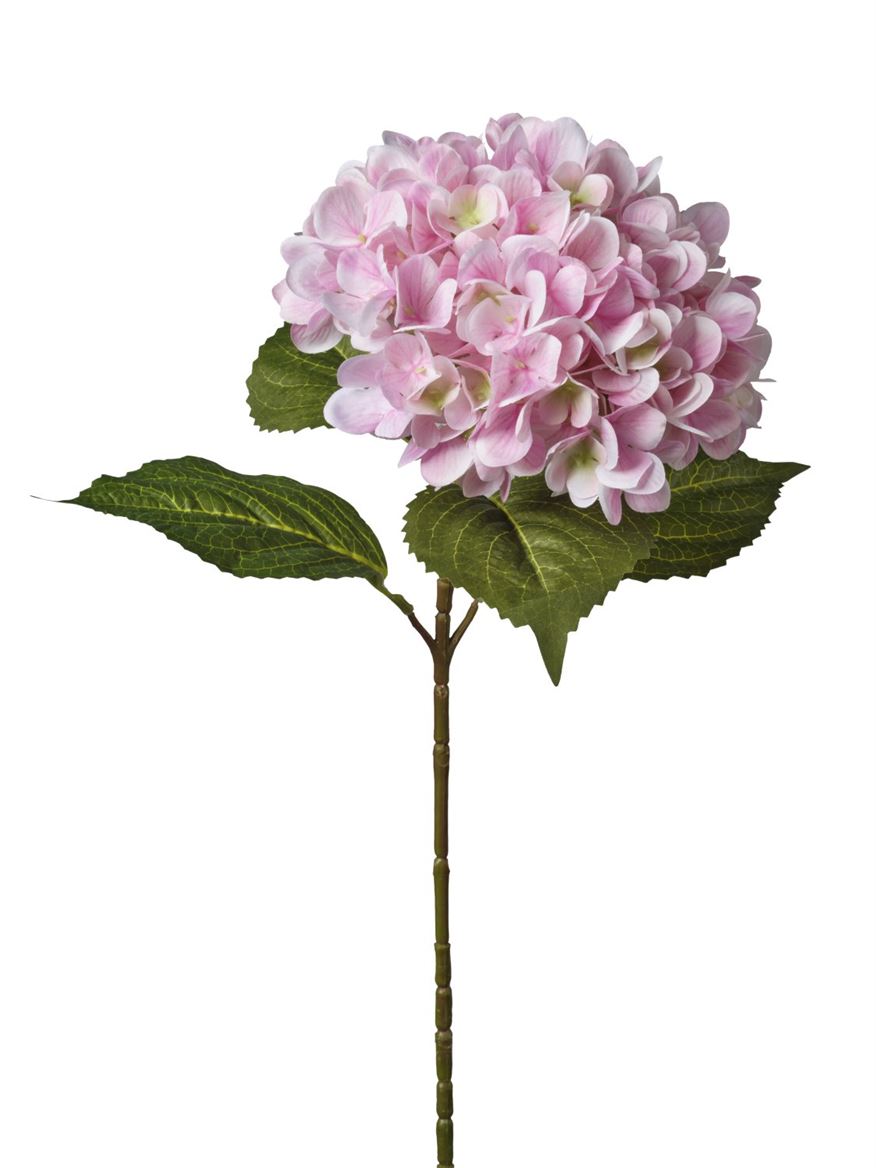 Art. Ramo Peonia Singola Cm74 Pink