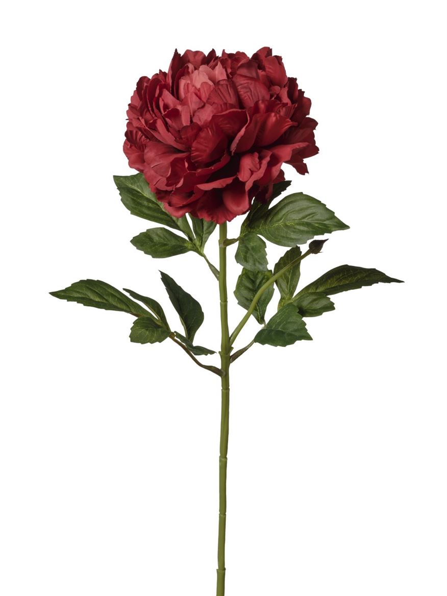 Art. Ramo Peonia Singola Cm74 Red
