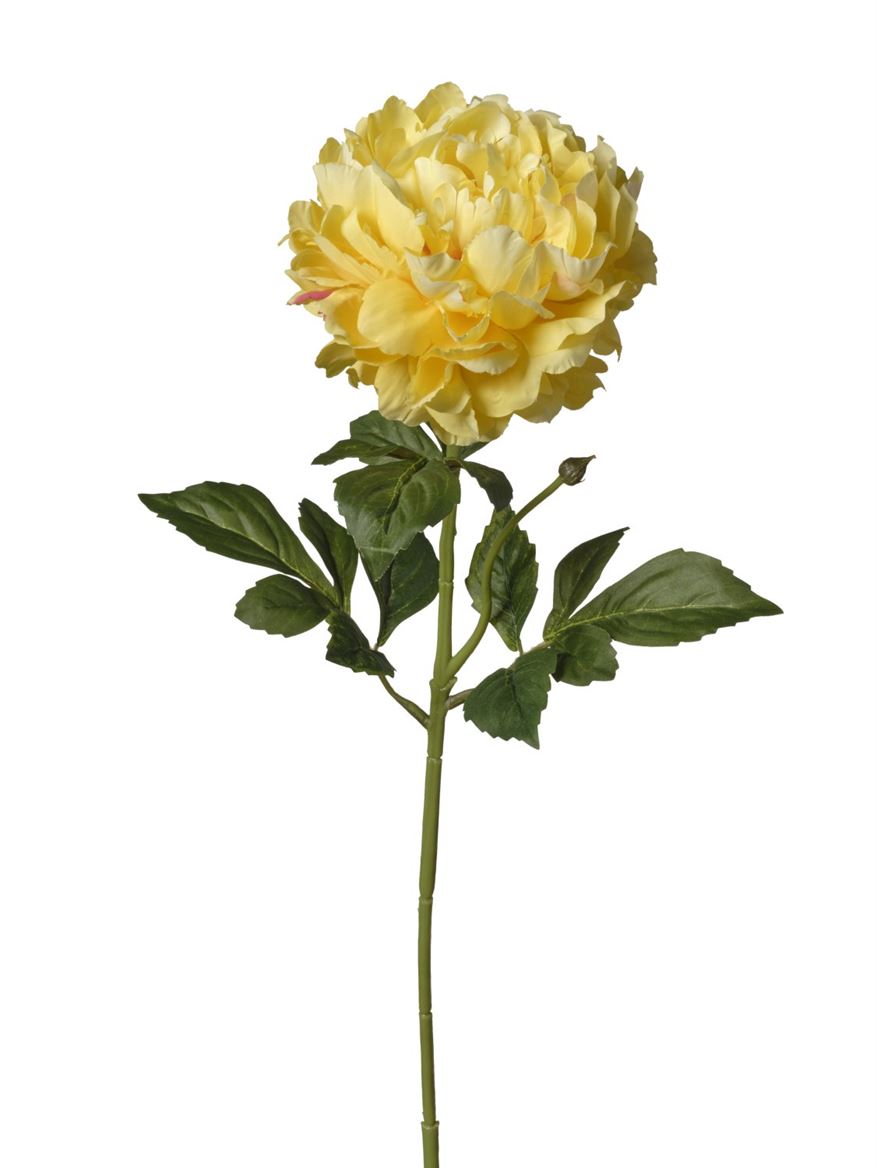 Art. Ramo Peonia Singola Cm74 Yellow