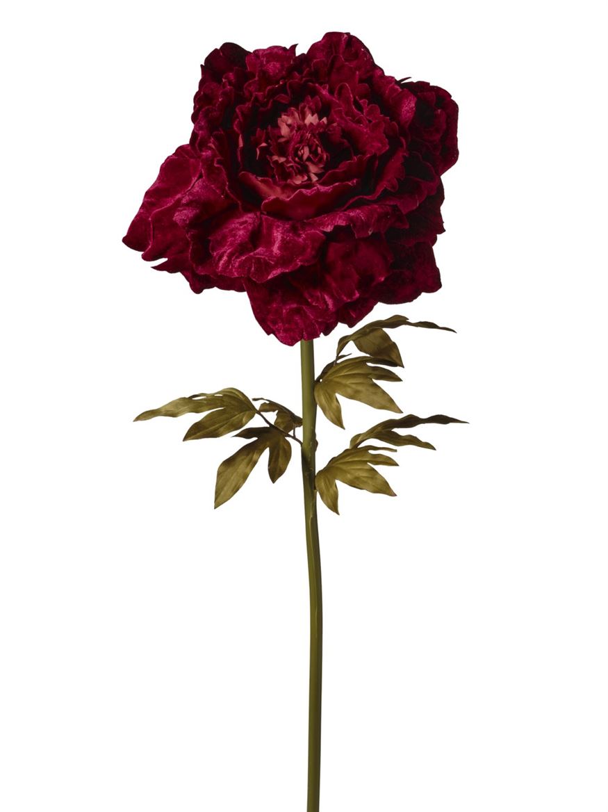 Art. Ramo Peonia Velluto 38x38x115cm - Burgundy