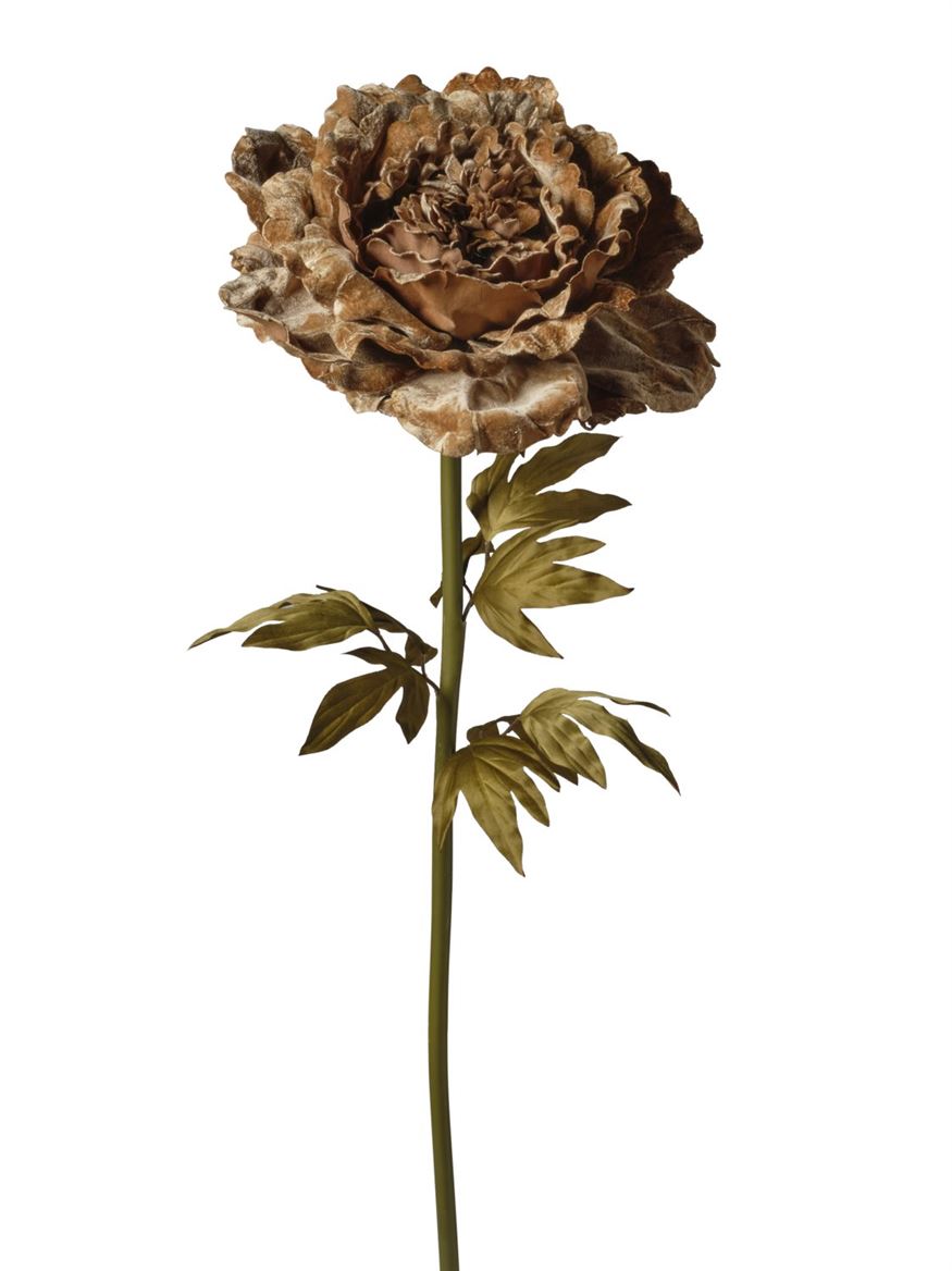 Art. Ramo Peonia Velluto 38x38x115cm - Tan