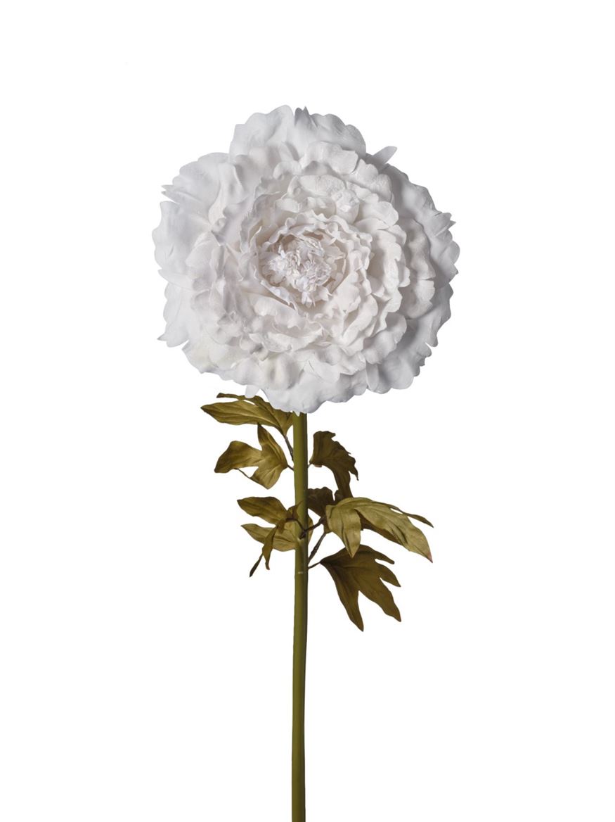 Art. Ramo Peonia Velluto 38x38x115cm - White