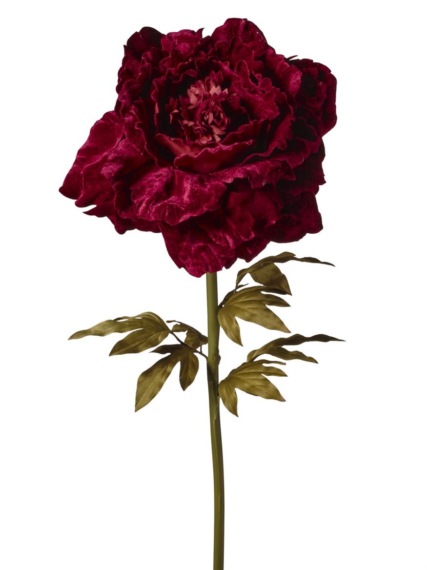 Art. Ramo Peonia Velluto 48x48x130cm - Burgundy