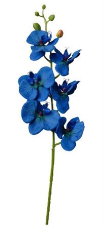 Art. Ramo Phaleonopsis Cm69 Blue