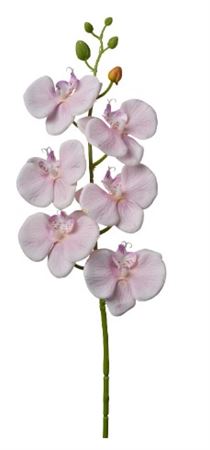 Art. Ramo Phaleonopsis Cm69 Soft Pink