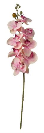 Art. Ramo Phaleonopsis Cm90 Peach Yellow