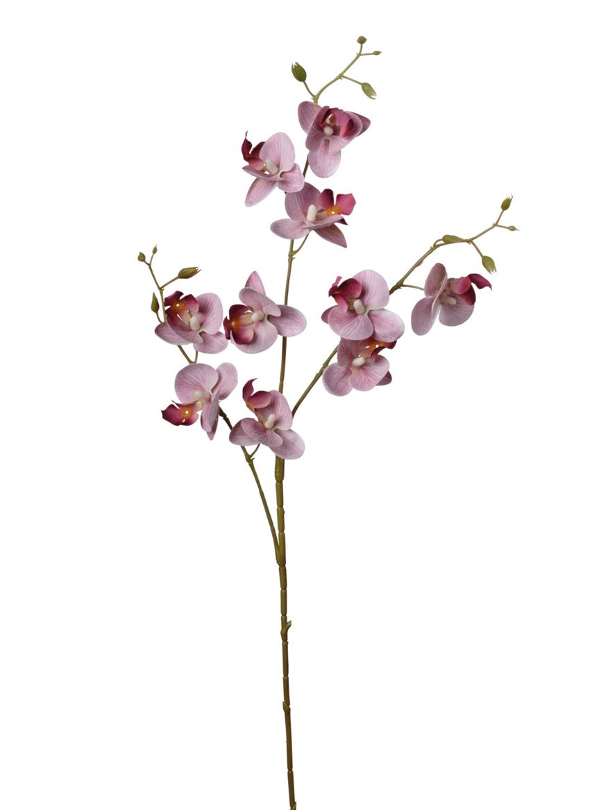 Art. Ramo Phaleonopsis X3 Cm83 Lavender
