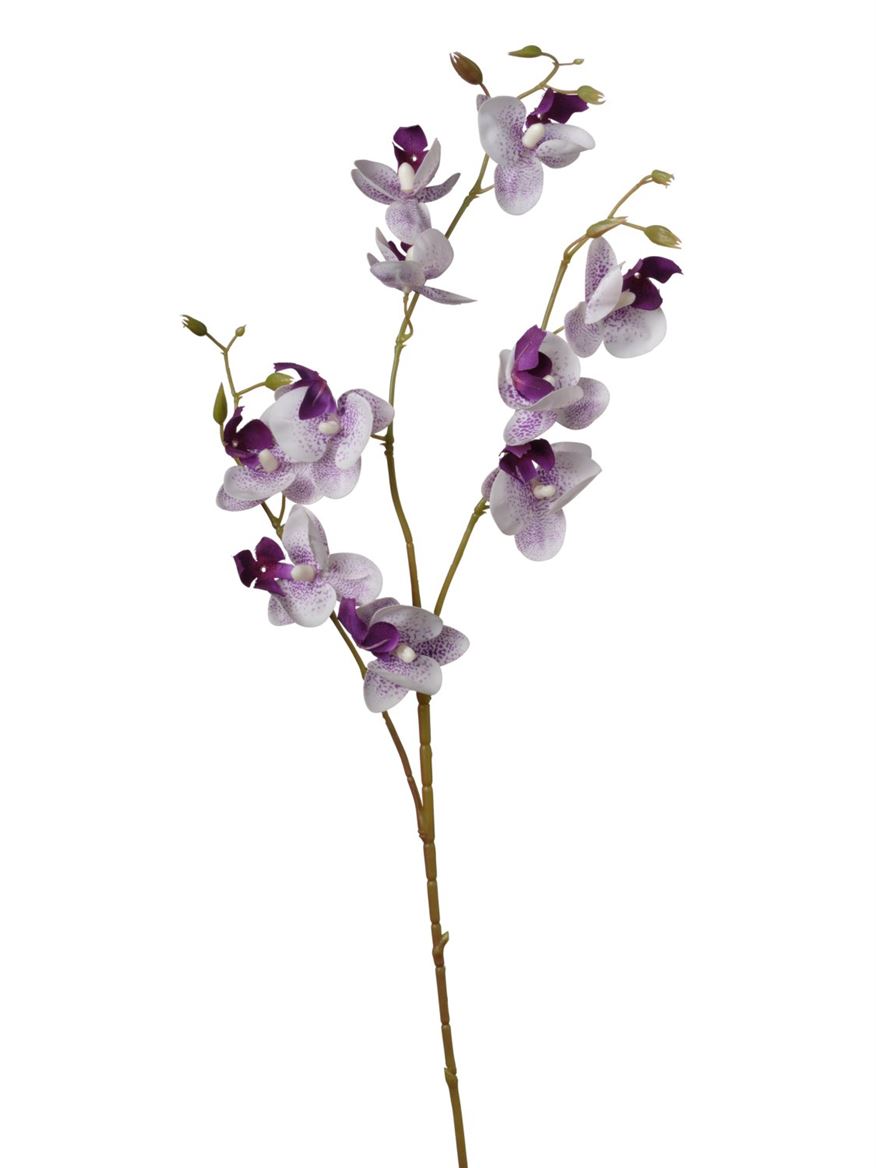 Art. Ramo Phaleonopsis X3 Cm83 White Purple