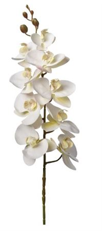 Art. Ramo Phaleonopsis X9 Cm94 Cream