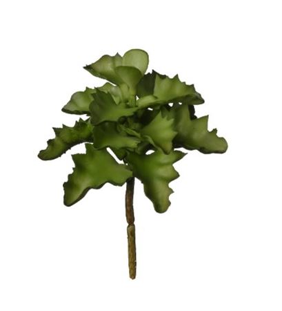 Art. Ramo Pianta Grassa Cm15 Green