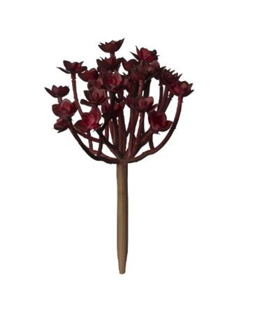 Art. Ramo Pianta Grassa Cm20 Burgundy Green
