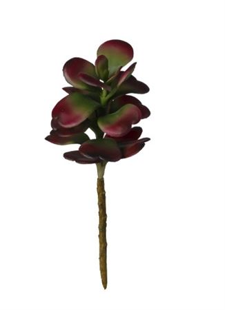 Art. Ramo Pianta Grassa Cm23 Burgundy