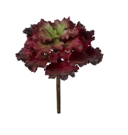 Art. Ramo Pianta Grassa Crasulacea Cm17 Burgundygr