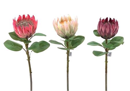 Art. Ramo Protea 69cm - Pink